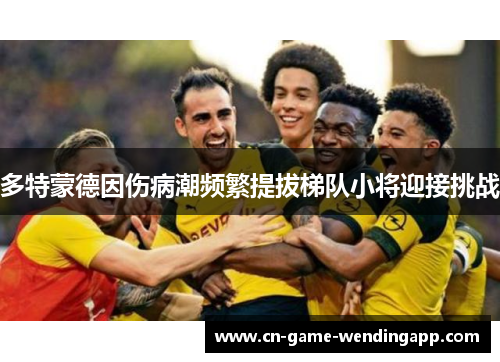 多特蒙德因伤病潮频繁提拔梯队小将迎接挑战